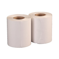 40 rollos de 250 etiquetas de 102 mm x 152 mm, etiqueta 1 al paso. De Transferencia Térmica TT